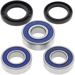 All Balls, Wheel Bearing Kit, REAR
