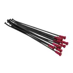 Haan Wheels, Spokeset HAAN 17" WRF 450, FRONT, BLACK RED