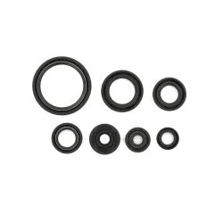Holeshot, Engine Seal Kit