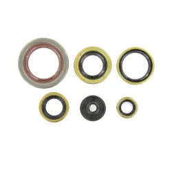 Holeshot, Engine Seal Kit