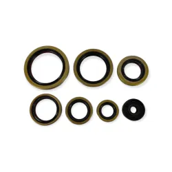 Holeshot, Engine Seal Kit
